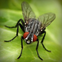 /album/rimedinaturalipererezione/photolia-a01-jpg/