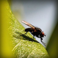 /album/rimedinaturalipererezione/photolia-a04-jpg/