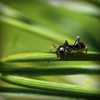 /album/rimedinaturalipererezione/photolia-a05-jpg/