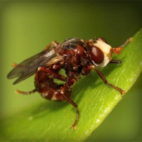 /album/rimedinaturalipererezione/photolia-a06-jpg/
